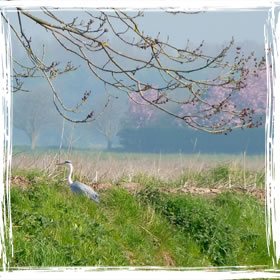 Pictures of our cottage and local area