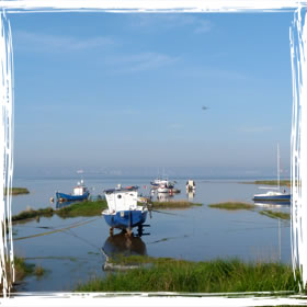 Pictures of our cottage and local area